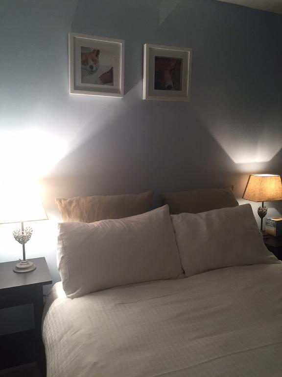 Illshaw Heath Farm Guest Lodge Hockley Heath Bilik gambar